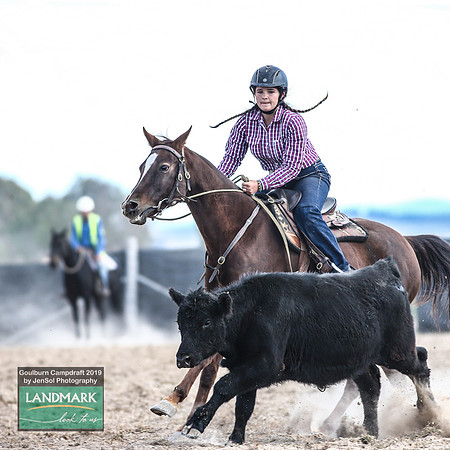 GoulburnCampdraft2019_1766