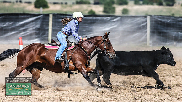 GoulburnCampdraft2019_0812