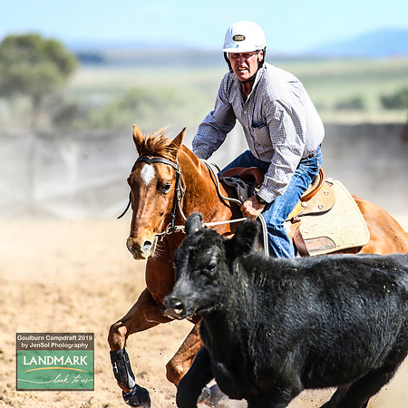 GoulburnCampdraft2019_1398