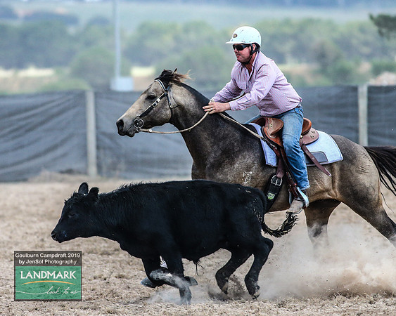GoulburnCampdraft2019_1222