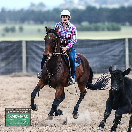 GoulburnCampdraft2019_1173