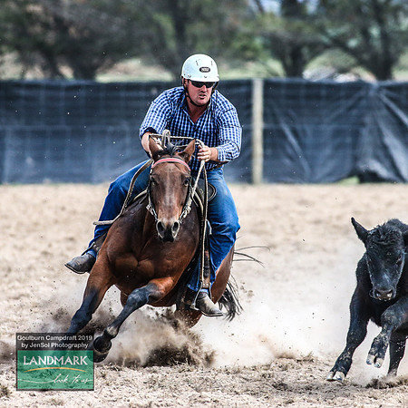 GoulburnCampdraft2019_1105
