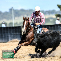 GoulburnCampdraft2019_0856