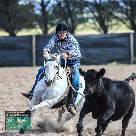 GoulburnCampdraft2019_1492