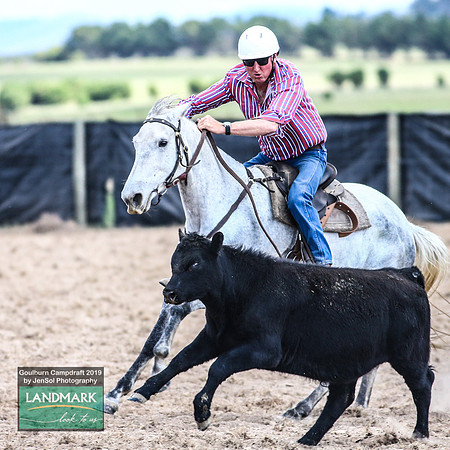 GoulburnCampdraft2019_1231