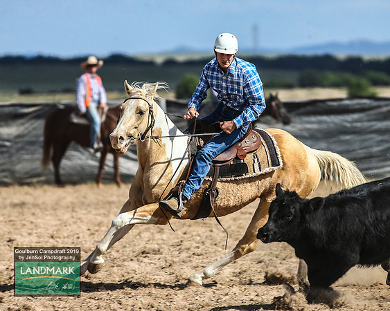 GoulburnCampdraft2019_1588