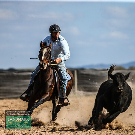 GoulburnCampdraft2019_1703