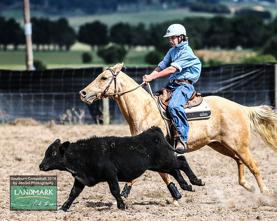 GoulburnCampdraft2019_1051