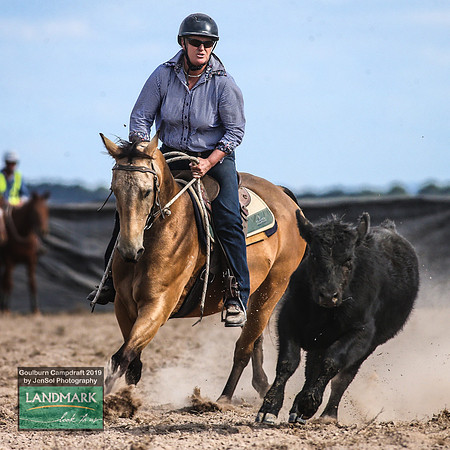 GoulburnCampdraft2019_1718