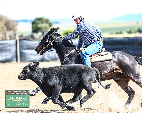 GoulburnCampdraft2019_1471
