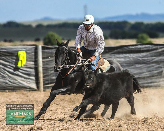 GoulburnCampdraft2019_1637