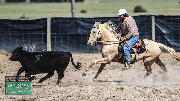 GoulburnCampdraft2019_0814
