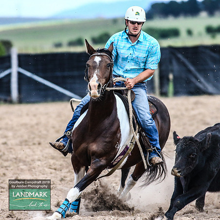 GoulburnCampdraft2019_1116