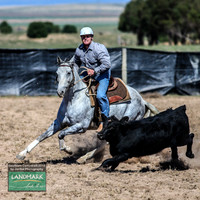 GoulburnCampdraft2019_0681
