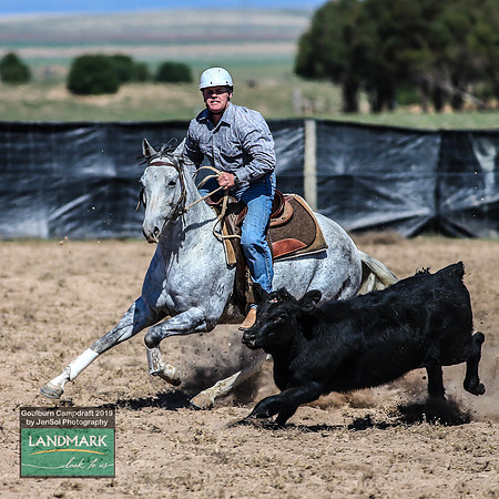 GoulburnCampdraft2019_0681