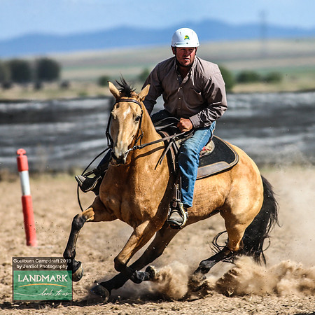 GoulburnCampdraft2019_1541