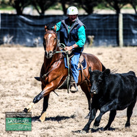 GoulburnCampdraft2019_0664