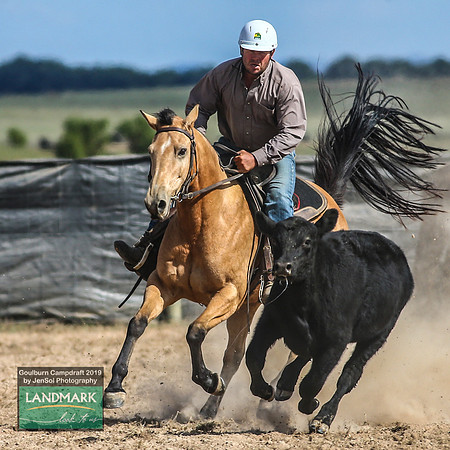 GoulburnCampdraft2019_1552