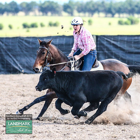 GoulburnCampdraft2019_1385