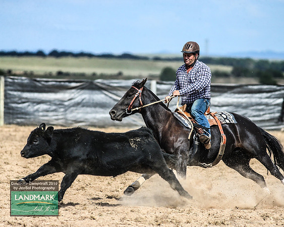 GoulburnCampdraft2019_1042