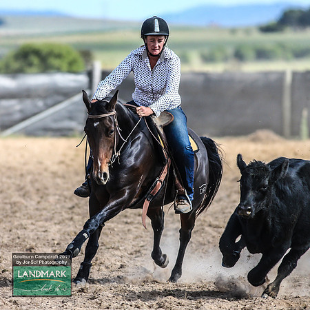 GoulburnCampdraft2019_1526