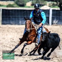 GoulburnCampdraft2019_0655