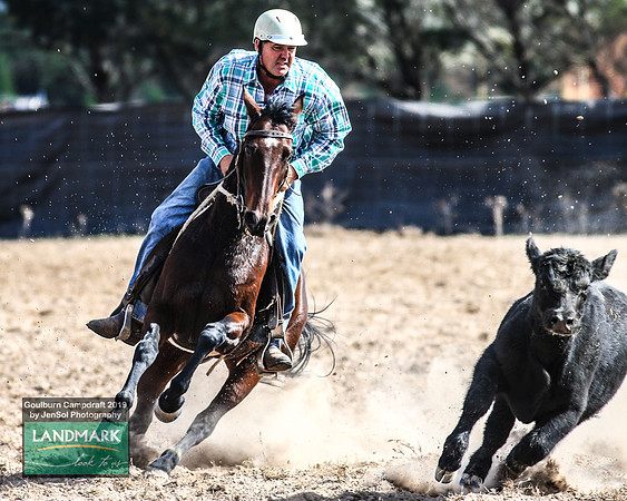 GoulburnCampdraft2019_1678