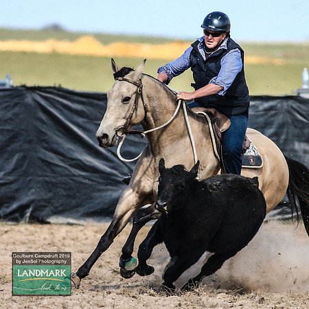 GoulburnCampdraft2019_0982