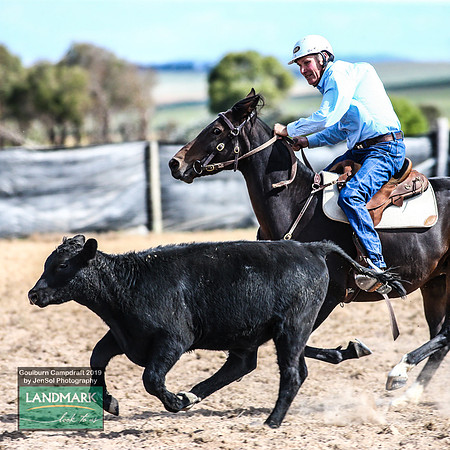 GoulburnCampdraft2019_1581