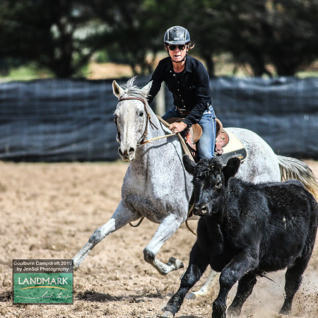 GoulburnCampdraft2019_1127