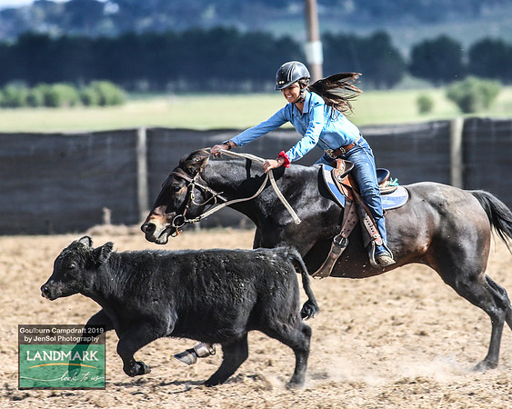 GoulburnCampdraft2019_1569