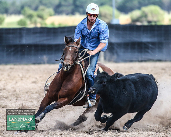 GoulburnCampdraft2019_1198