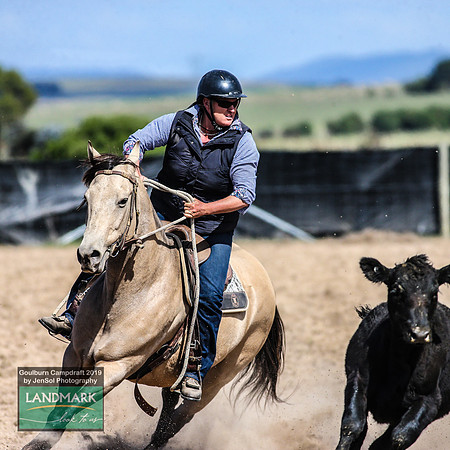 GoulburnCampdraft2019_0966