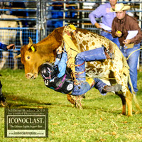 MiltonRodeo2019_0491