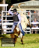 MiltonRodeo2019_0544