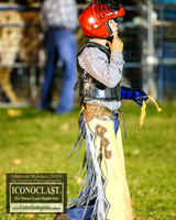 MiltonRodeo2019_0473