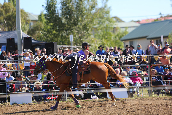 JindabyneRodeo2015_2503