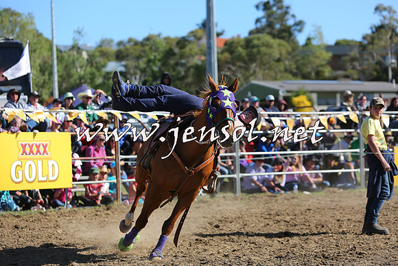 JindabyneRodeo2015_2488