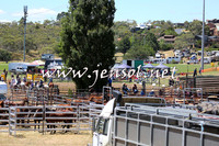 JindabyneRodeo2015_3007