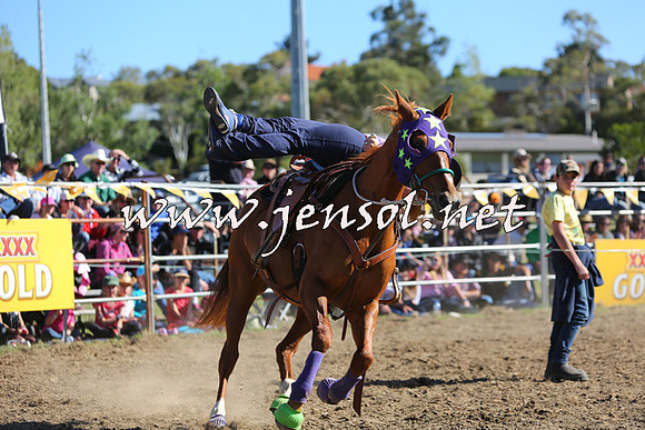 JindabyneRodeo2015_2486