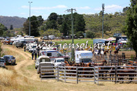 JindabyneRodeo2015_3008