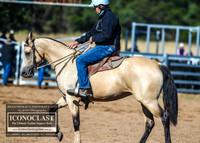 BraidwoodCampdraft2021_6385
