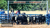 BraidwoodCampdraft2021_5836