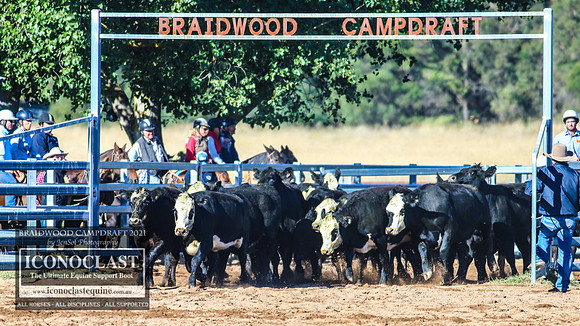 BraidwoodCampdraft2021_5836