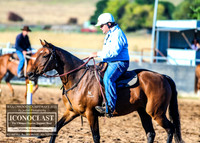 BraidwoodCampdraft2021_0064