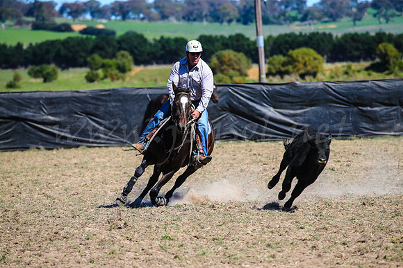 GoulburnCampdraft2017-0570