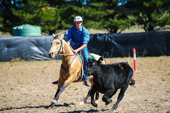 GoulburnCampdraft2017-0338