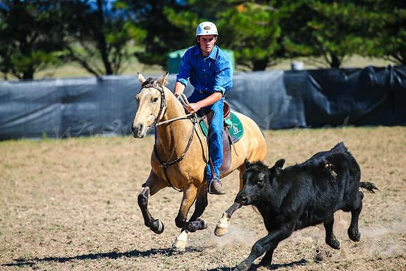 GoulburnCampdraft2017-0333