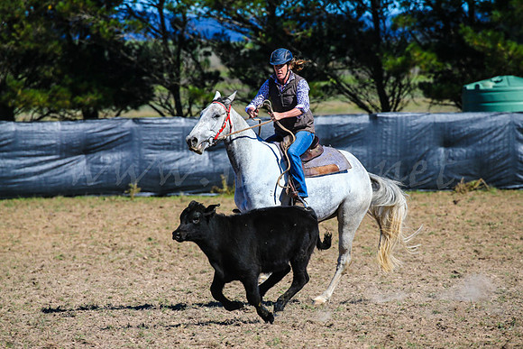 GoulburnCampdraft2017-0264