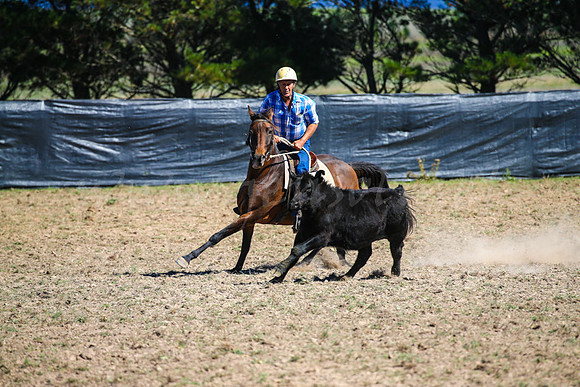 GoulburnCampdraft2017-0387